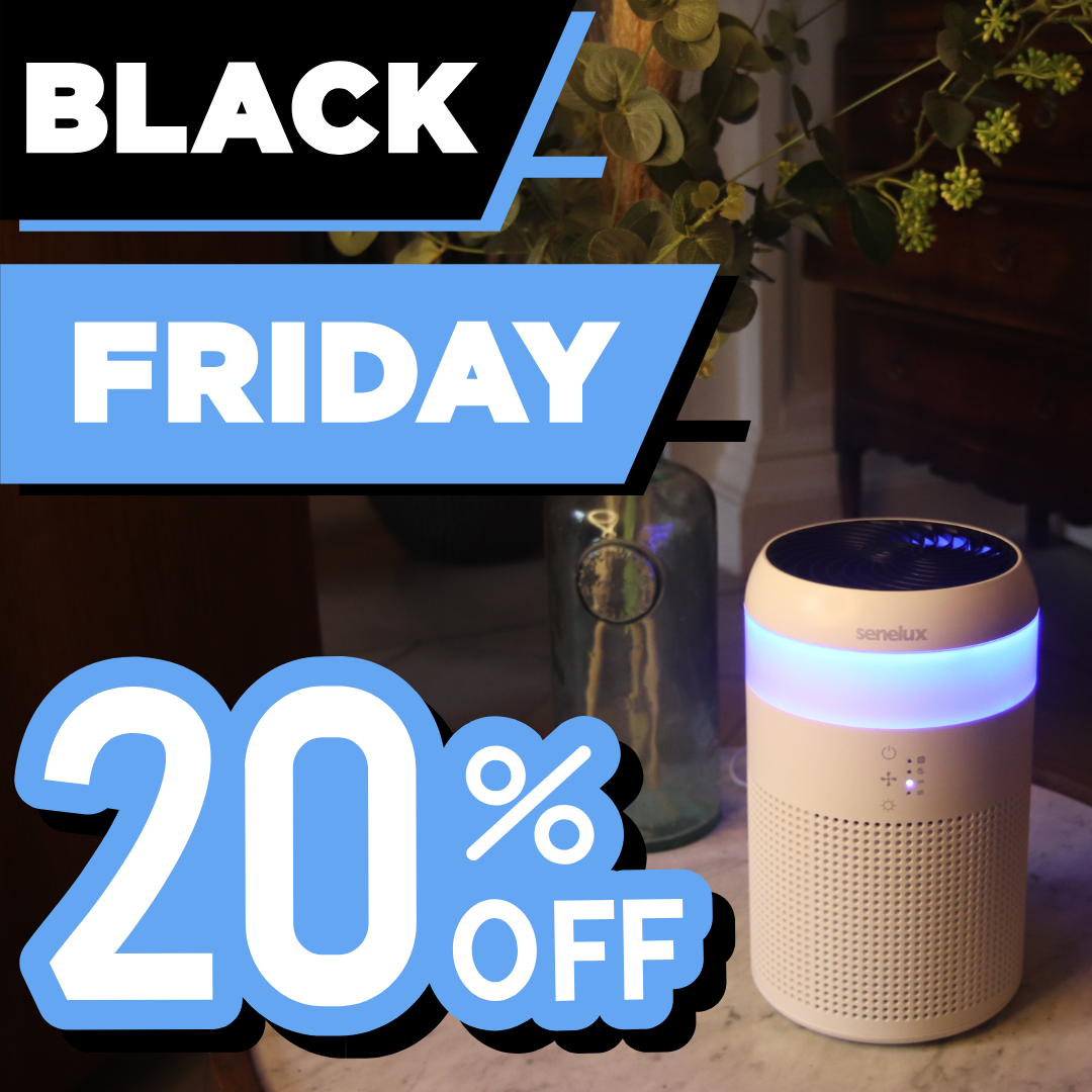 A cozy and clean UK-style living room featuring neutral and warm tones. The room has a comfortable sofa, a coffee table with a small vase of flowers,