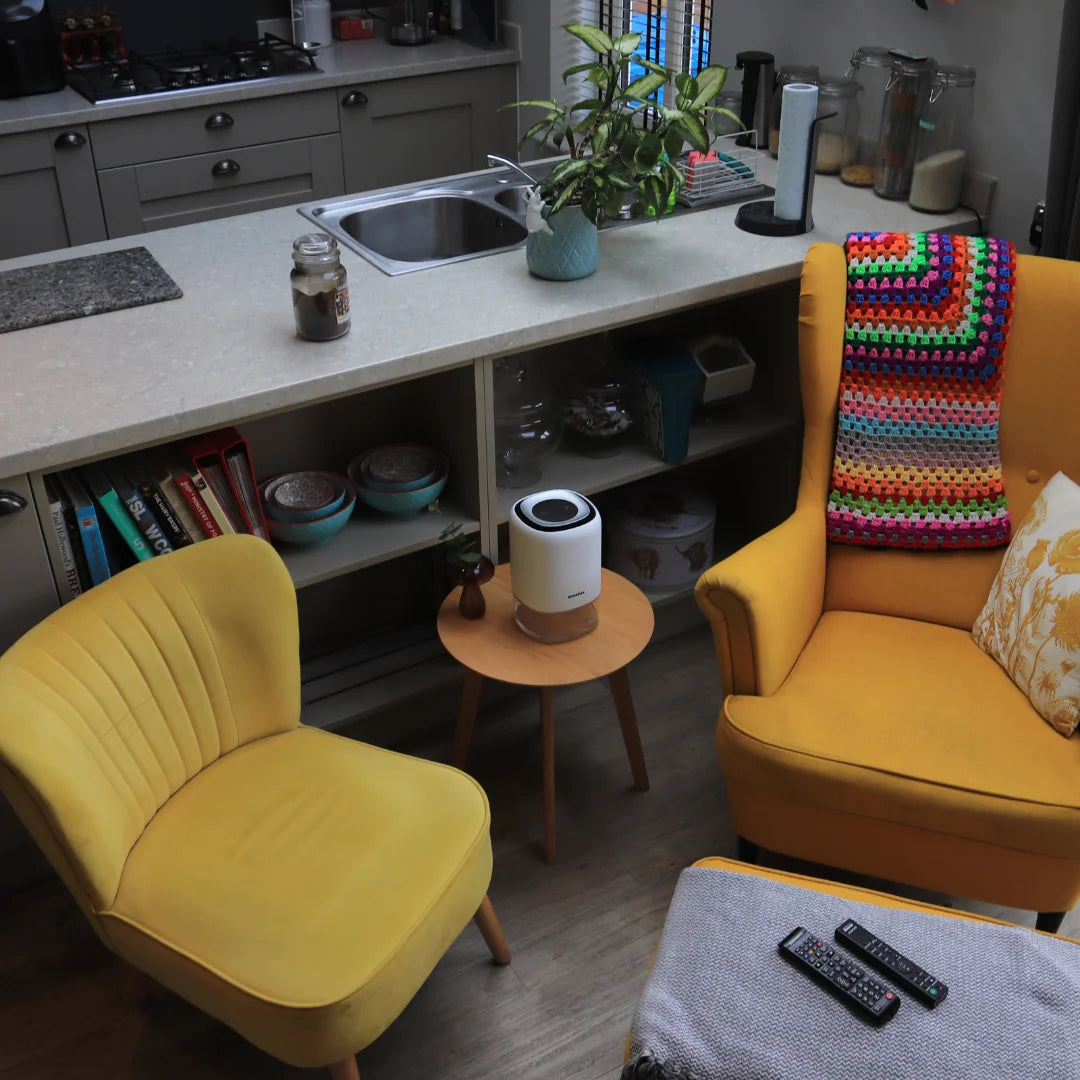 A picture of a UK home in the middle of spring with a Senelux Q4 dehumidifier on a table