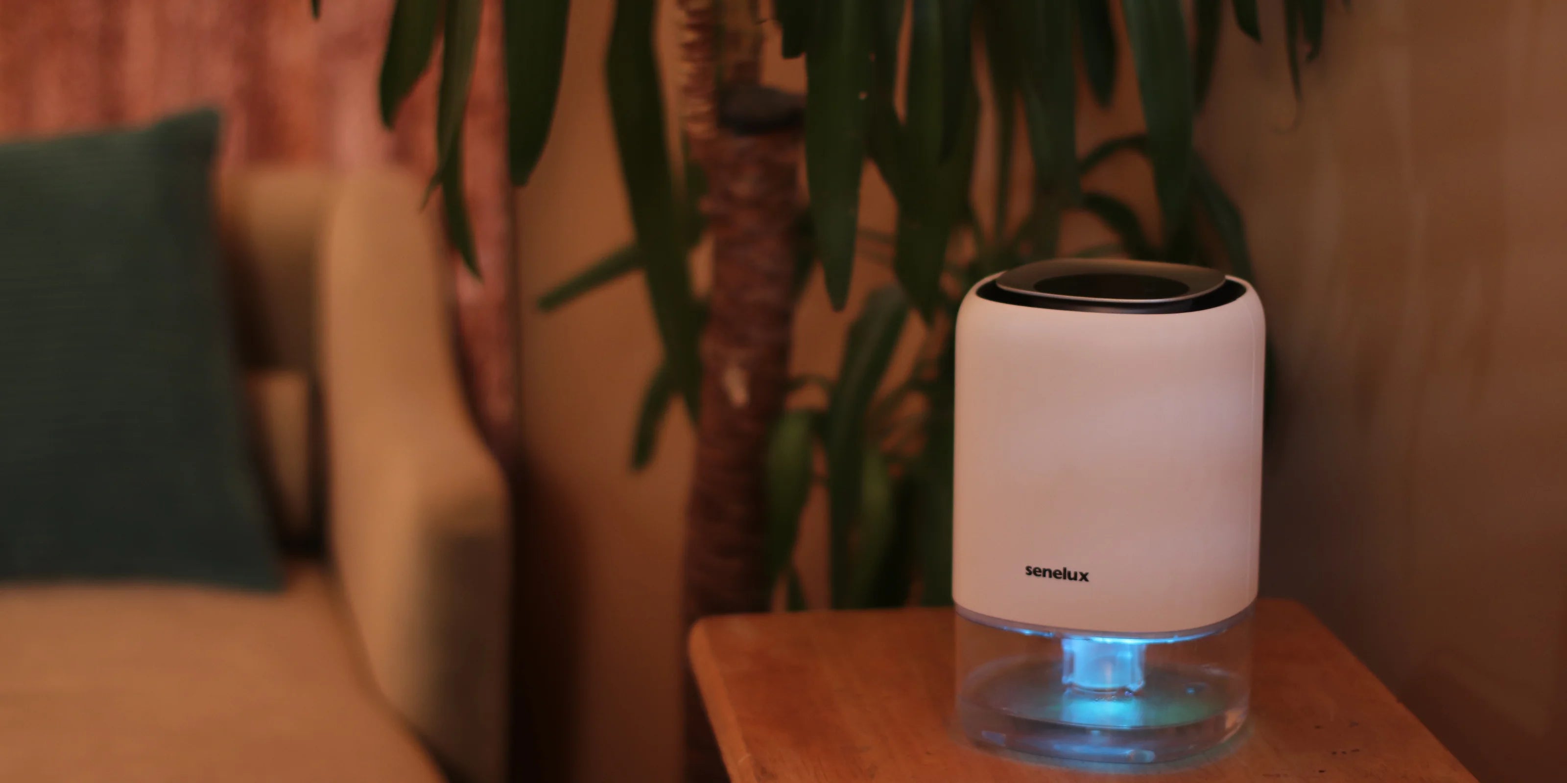 A photo of the Senelux Q4 dehumidifier in a cosy, warmly lit room with a blue LED light shining in it's clear water tank