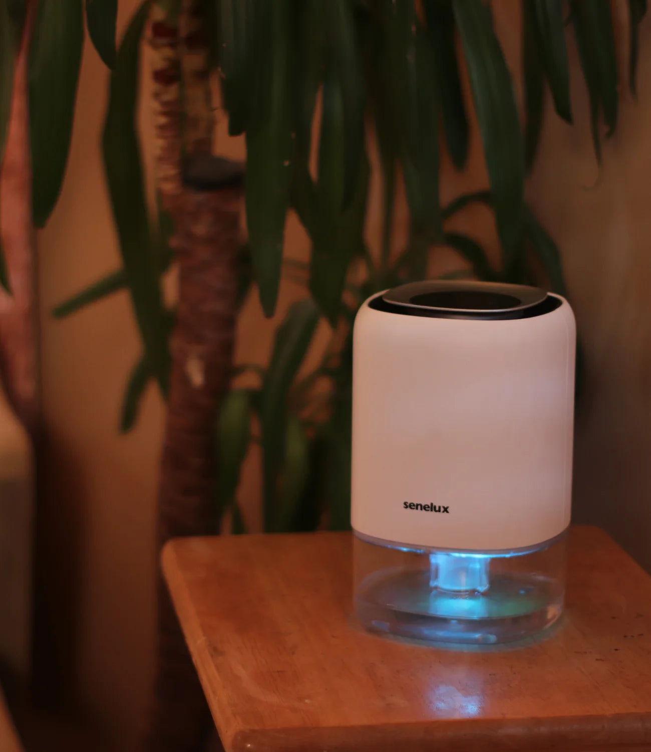 A photo of the Senelux Q4 dehumidifier in a cosy, warmly lit room with a blue LED light shining in it's clear water tank