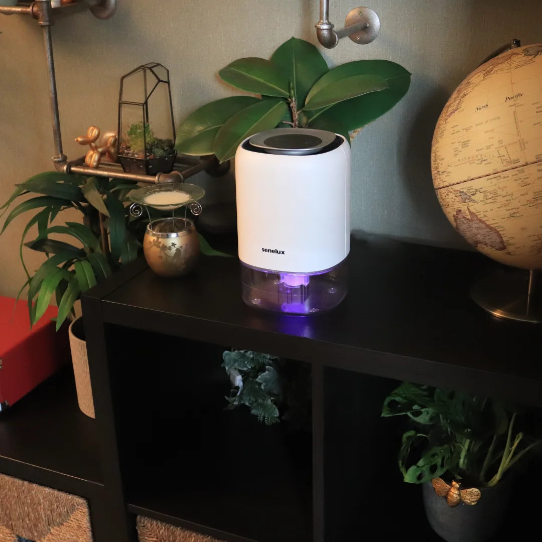A photo of the Senelux Q4 small dehumidifier in a modern home with a purple LED light shining