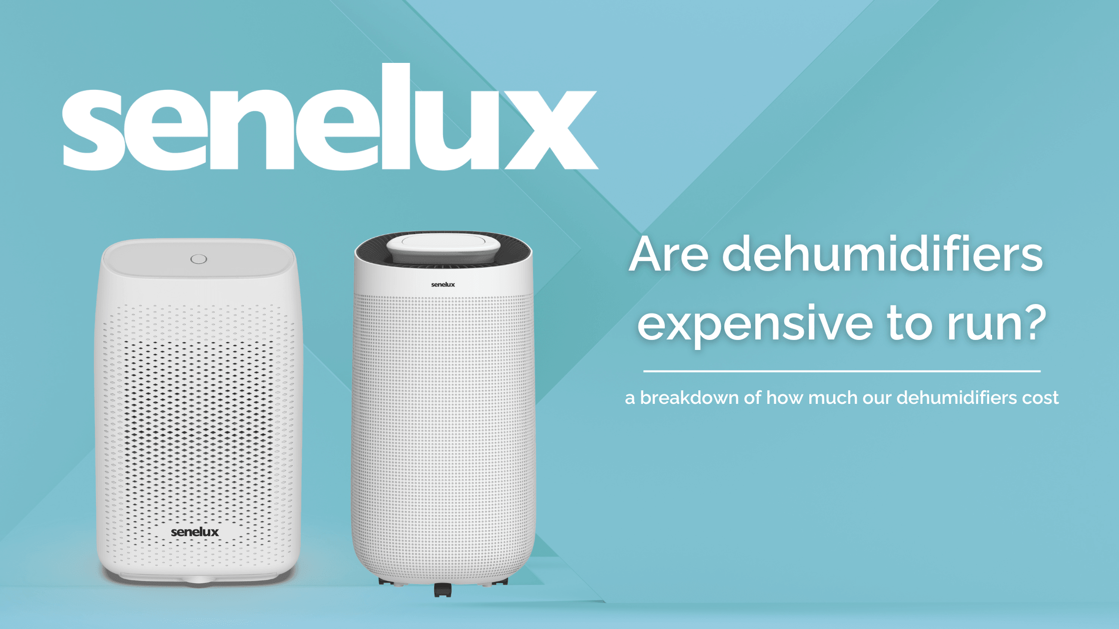 Are Dehumidifiers Expensive to Run? - Senelux